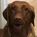 Profile Picture of Andrea Berman (@andrea__berman) on Instagram