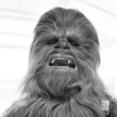 Profile Picture of Wayne Liao (@LiaoWayne) on Twitter