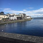 Profile Picture of Maya Ben-Haim Rosen (@mayabenhaimrosen) on Instagram