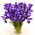 Profile Picture of Anand  Shukla (@anand j shukla) on Flickr