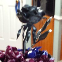 Profile Picture of Kim Butters (@kim-butters-3) on Quora