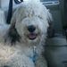 Profile Picture of Emily Manos (@emilymanos21) on Pinterest
