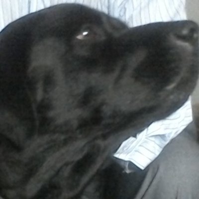 Profile Picture of Blair Chatburn (@David_chatburn) on Twitter