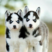 Profile Picture of Marcus Camacho (@marcuscamacho419) on Youtube