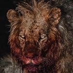 Profile Picture of 𝓙έ𝐑𝑒Ⓜ️𝔂 𝓦𝒆Ř𝔱 (@jeremyballiskingwert) on Instagram