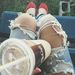 Profile Picture of Carina Gonzalez (@carinaag) on Pinterest