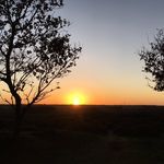 Profile Picture of Pamela Abbott (@pamelaabbottnature) on Instagram