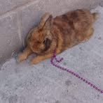 Profile Picture of Javier Guadalupe (@javier.guadalupe.154493) on Facebook