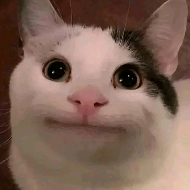 Profile Picture of Mark Fermin (@mark.fermin16) on Tiktok