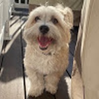 Danny Diorio - Quora Profile Picture of Danny Diorio (@danny-diorio-1) on Quora