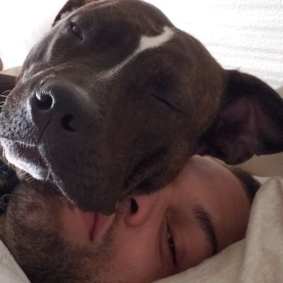 Profile Picture of Charles III (@Light_Bright67) on Twitter
