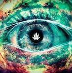 Profile Picture of Byron Saptoe (@byron.saptoe) on Facebook