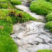 Profile Picture of Astrid Neumann (@astridneumann8097) on Youtube