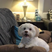 Profile Picture of Cindy Leach (@cindollsue) on Youtube