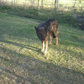 Profile Picture of Christie Dagley (@cdagley05) on Pinterest