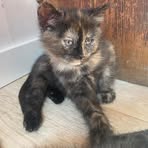 Profile Picture of Karl Adam Lundgren (@Karl-Adam-Lundgren) on Facebook