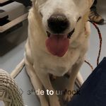 Profile Picture of Patrick sawyer (@patricksawyer3) on Instagram