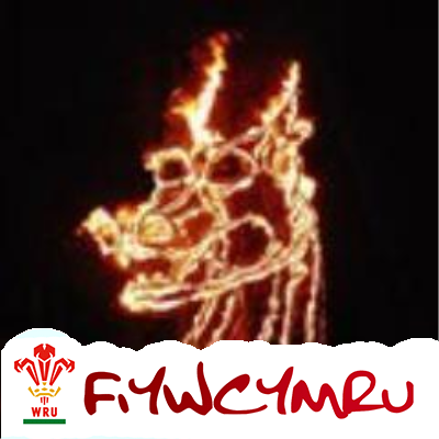 Profile Picture of Sue Tester (@2welsh) on Twitter