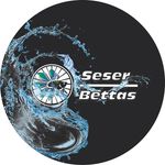 Profile Picture of Seser Bettas (@seserbettas) on Instagram