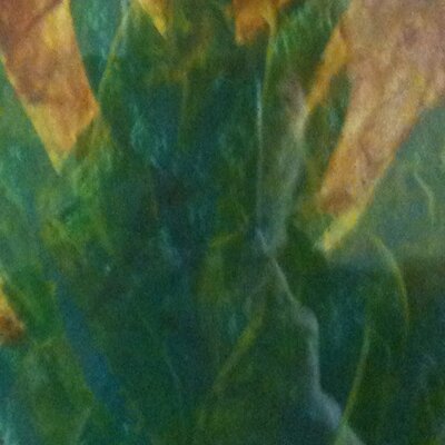 Profile Picture of Angela Ruggiero (@sorva) on Twitter