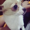 Profile Picture of Hung Shih Yi (@@2147737992) on Tiktok