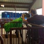 Profile Picture of Andy Kennedy (@andy_kennedy_) on Instagram