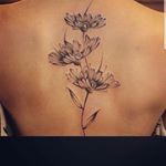Profile Picture of Aimee Grimm (@tatmama17) on Instagram