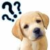 Profile Picture of John Vanderpol (@john.vanderpol.397) on Facebook