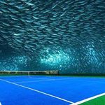 Victor busby - Instagram Profile Picture of Victor busby (@canofblissdon) on Instagram