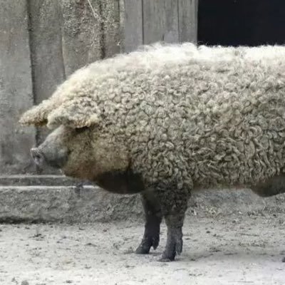 Profile Picture of Geoffrey Garrison (@therealgeoffr) on Twitter