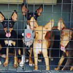 Profile Picture of Alex_46_23 (@alexconsuegra) on Instagram