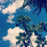 Profile Picture of kelsey mitchell (@hairdesignkelsey) on Instagram