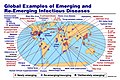 Profile Picture of Emerging infectious diseaseon Wikipedia