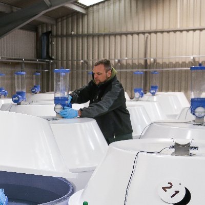 Profile Picture of Colin Forrest (@colinforrest82) on Twitter