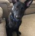 Profile Picture of Mark Hernon (@mark.hernon.71) on Facebook