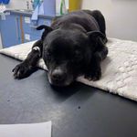 Profile Picture of David connolly (@david_connolly12) on Instagram