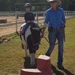 Profile Picture of Paul Sheedy (@p.sheedy) on Instagram