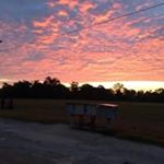Profile Picture of Jason Calicott (@jasoncalicott6111) on Instagram