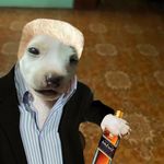 Profile Picture of Joshua Morales (@arroz_en_leche_) on Instagram