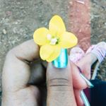 Profile Picture of Amy Davids (@amy_sweetlin_david) on Instagram