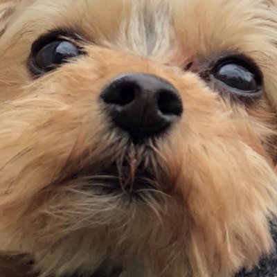 Profile Picture of Rachel G Hoyle (@RachelGHoyle1) on Twitter