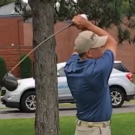 Profile Picture of Jeff Gee (@geeman4557) on Twitter