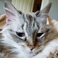 Ray Tierney - Quora Profile Picture of Ray Tierney (@ray-tierney) on Quora