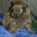 Profile Picture of Robert Tolman (@robert.tolman.9) on Facebook