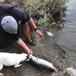 Profile Picture of Kelsey Alicea (@wally3553) on Instagram