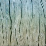 Profile Picture of James Lee (@red_ragon_) on Instagram