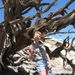 Profile Picture of Tara Cluff (@tntcluff) on Pinterest