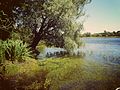 Profile Picture of Danilovsky District, Volgograd Oblaston Wikipedia