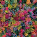 Profile Picture of Trevor  Lloyd (@trevor.loyd1985) on Instagram