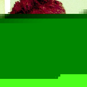 Profile Picture of Jason Maling (@00maljaso) on Myspace